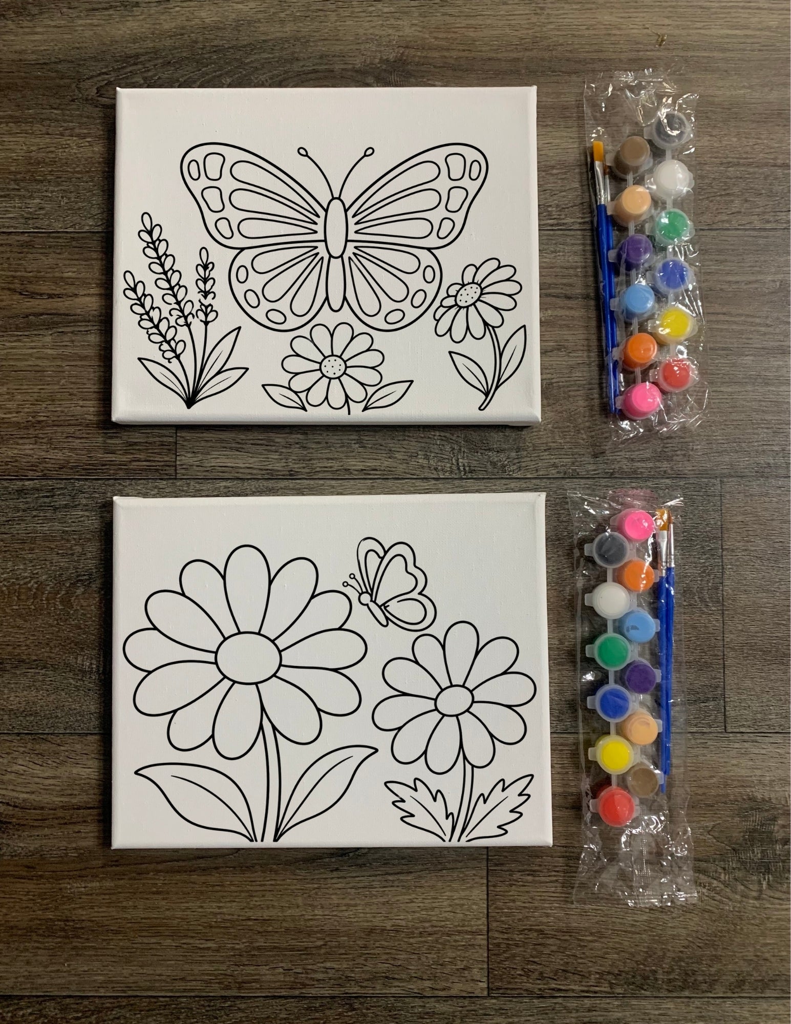 Pre-Drawn Canvas Kit - Butterflies & Flowers