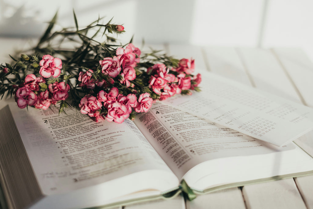 FREE Bible Study Resources